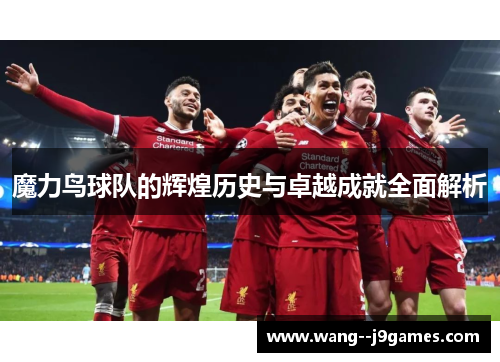 魔力鸟球队的辉煌历史与卓越成就全面解析